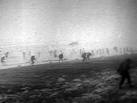II – The Complete Series . - via Daymix