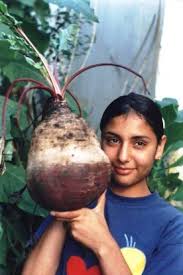 verduras
