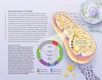 Mitochondria at Work | The Scientist Magazine