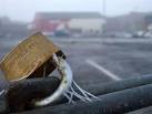 Locked up, Supervalu car-park, Omagh. Looking west from a security gate on - via Daymix