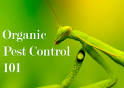 Natural Pest Control