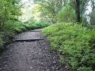 Stepped path in Kett's Heights. Kett's Heights is one of the hidden gems of - via Daymix