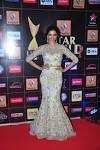 Star Guild Awards 2015: Celebs Sizzle on Red Carpet [