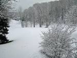 Wonder of Creation Blog Archive First Big Snow 