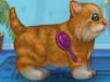 Kitten Games for Girls Kissing Games