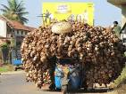 Unbelievable Pictures From Around The World - SuitQais.