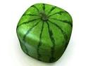 Square Watermelon Cases made of Plastic