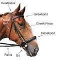 Bridles