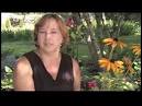 Chrysanthemum: Cut flower care - Worldnews.