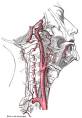 Carotid endarterectomy - Wikipedia, the free encyclopedia
