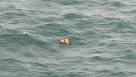 AIRASIA FLIGHT 8501 searchers find bodies, debris from plane - CBS.