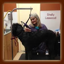 Treats Unleashed: The Natural Place for Pets | meet shelly – new ... - shelly-leawood-groomer-framed