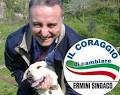 Fausto Ermini Sindaco