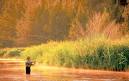Park City Fly Fishing   Utah Pro Fly Fishing