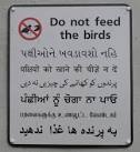 Hindi, 3. Urdu, - via Daymix