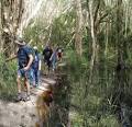 Bondi Forest Lodge - Outdoor Activities