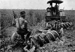 File:Agriculture (Plowing) CNE-v1-p58-H.jpg - Wikipedia, the free ...