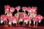 CABARET/FRENCH CANCAN | Eventslisa - Agence Artistique