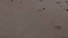 Doc Marten I presume? Footprints on the beach, Hayling Island. - via Daymix