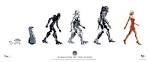 Battlestar Galactica | Evolution of the Cylon - Battlestar ...