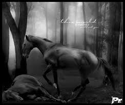 images?qtbnANd9GcSbfRboYH25w2TJYw1UBPlad8cAygoX2CypptYGeGwkag4 LO2Q