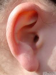 http://t3.gstatic.com/images?q=tbn:ANd9GcSboZ_MaOkcqldaxHS_4asOvfDVjtdm1WvNn-agEiwFbwLQ8U8&t=1&usg=__AgzKjDVn7SD08Lu14IXYHrHvylY=