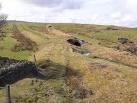 after complaints by farmers about lead poisoning of their livestock. - via Daymix