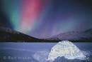 Aurora Borealis I NORTHERN LIGHTS
