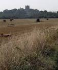 Lancing College skyline as seen from across the wheatfields on the west bank - via Daymix