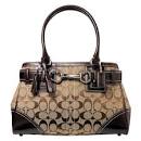 http://www.handbag-time.com/wp-content/uploads/2011/06/1309068187-67.jpg