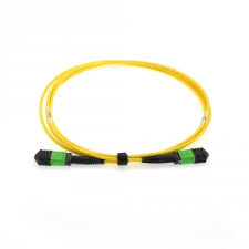 MPO 12 Connector Singlemode Fiber Optic Cable - 3 Meter
