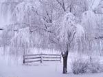 desktop wallpaper winter scenes - www.