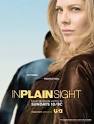 IN PLAIN SIGHT Poster - TV Fanatic