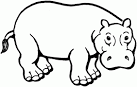 Hippo coloring page