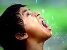 (AP Photo/Rajesh Kumar Singh)