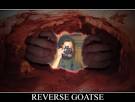 Goatse Pictures