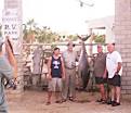 Nicer grade of tuna for East Cape sportfishing boats, Cabo striped ...