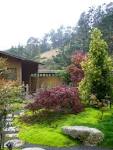 File:Tea garden (Green Gulch farm).jpg - Wikipedia, the free ...