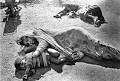 Crisis Pictures: Bhopal disaster - part II