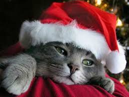 It's that time of the year..