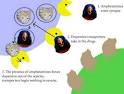 How Adderall Works | Quitting Adderall