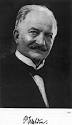 the discoverer of ionic