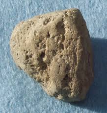 external image images?q=tbn:ANd9GcSdsdMw0S5pKMHmyB0IAFlwNUTYtUGHcavHxw86M6nSyAveaSrswg