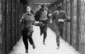 GreenCine | French New Wave