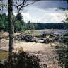 What's New: Muskoka Images
