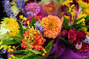 Those flowering plants or