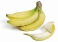 The Cavendish banana on the brink of extinction!