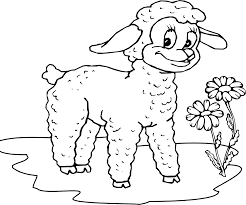 Image result for sheep coloring page