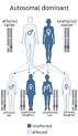 Dominance (genetics) - Wikipedia, the free encyclopedia