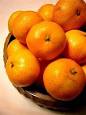 Citrus - Wikipedia, the free encyclopedia